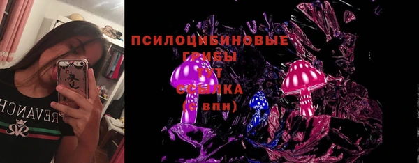 ГАЛЛЮЦИНОГЕННЫЕ ГРИБЫ Абдулино