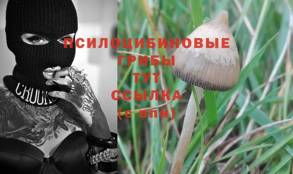 винт Алексеевка