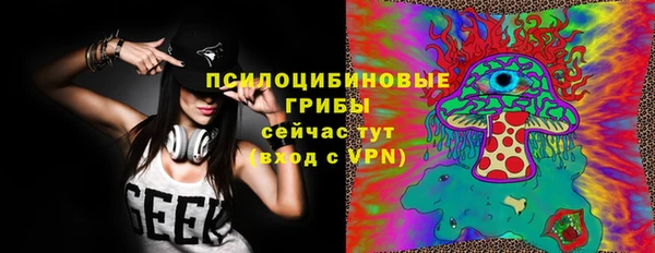 бошки Алексин