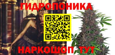 прущие крисы Лесосибирск