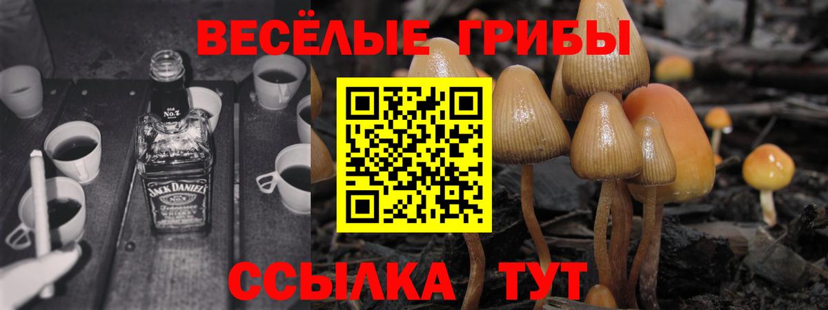 Каменск-Уральский  Псилоцибиновые грибы прущие грибы  закладки  Вход с VPN 